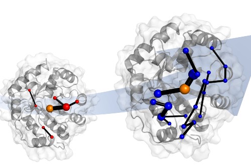 Enzyme evolution